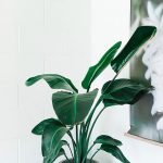 banner_img4