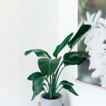 blog2