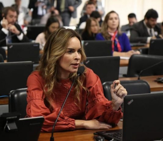 Daniella Ribeiro vota favorável a PL que garante auxílio a informais e merenda para famílias durante pandemia de coronavírus no país