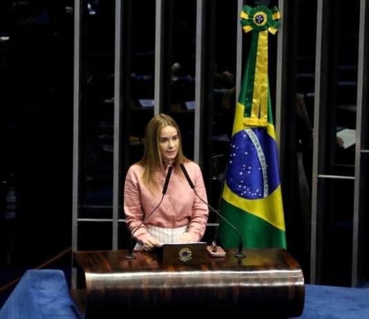 Daniella Ribeiro reúne prefeitos para discutir situação dos municípios durante pandemia do coronavírus