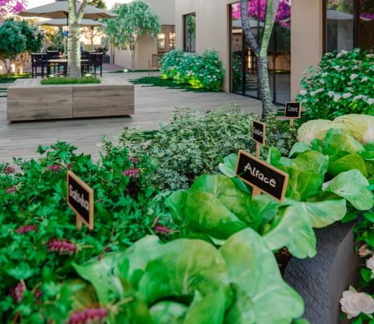 Wanderley Construções investe na integração com a natureza para melhorar a qualidade da vida urbana