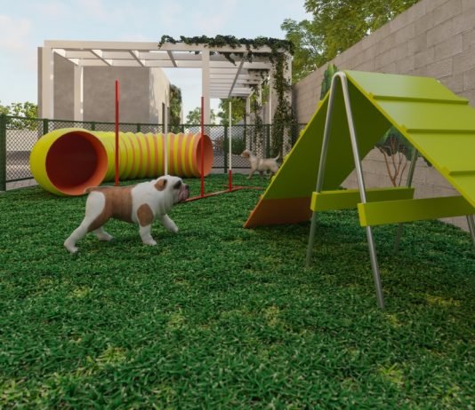 Construtora investe em projetos imobiliários que valorizam o lazer e o bem-estar dos animais de estimação