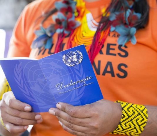 Sistema Hapvida se torna signatário do ONU Mulheres, Fórum LGBTI+ e REIS