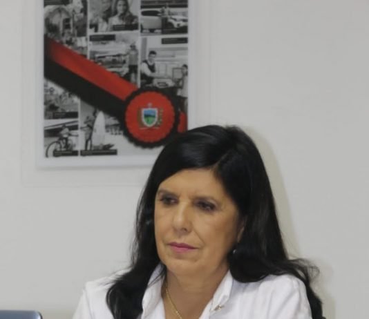No Fórum de Vice-Governadores, Lígia Feliciano cobra de ministério programa nacional de reabilitação pós-covid