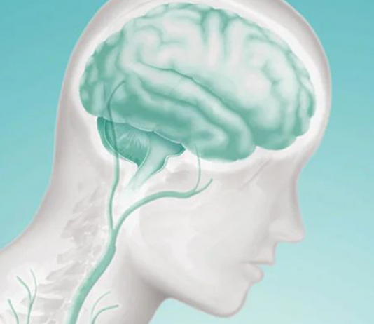 Infectologista do Sistema Hapvida reforça importância da imunização no combate à meningite