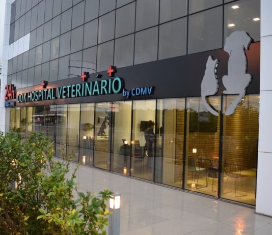 Campina Grande receberá unidade do Hospital Veterinário DOK