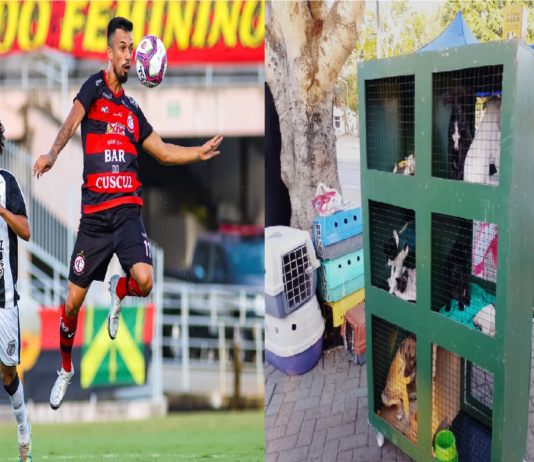 UNINASSAU promove campanha de adoção animal no Clássico dos Maiorais