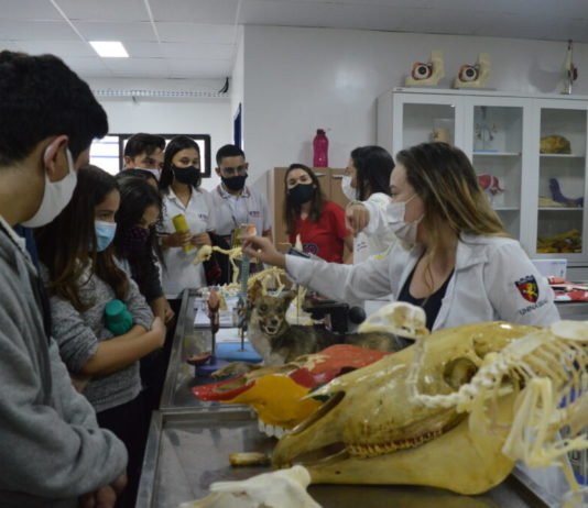 Mais de 4 mil estudantes participam do Mostra Campus em Campina Grande