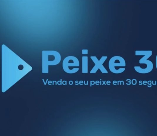 Ser Educacional lança plataforma que impulsiona desenvolvimento profissional
