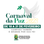 BANNER CARNAVAL DA PAZ 3