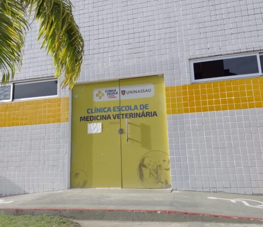 Centro universitário promove semana contra a Otite caninana
