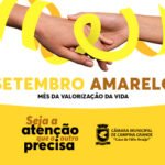BANNER – Setembro Amarelo – 300×250