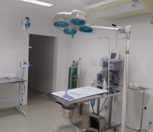 UNINASSAU amplia horário de funcionamento da Clínica-Escola de Medicina Veterinária