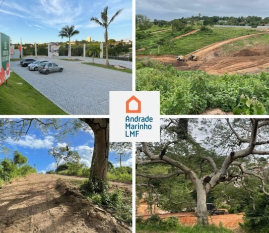 Urbanização e respeito à natureza