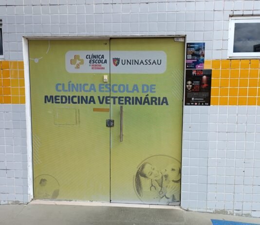 Outubro Rosa: Como se manifesta o câncer de mama nos Pets?