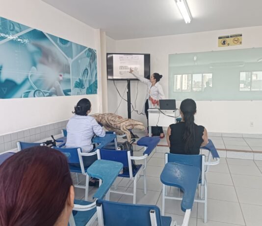 UNINASSAU realiza curso sobre acupuntura veterinária