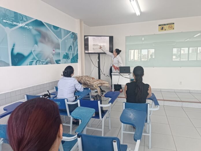 Acupuntura veterinaria UNINASSAU Campina Grande (1) (1)