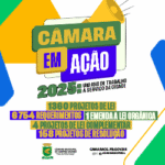Banners—PRESTAÇÃO-DE-CONTASBanner—PRESTAÇÃO-DE-CONTAS-300×250