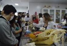 UNINASSAU Campina Grande realiza o Mostra Campus